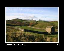 Some of the best images from the Grey Panthers' walks can be seen on Edward Nicholl's photography website
