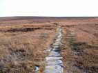 Birk Brow to Commondale