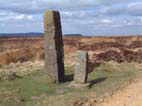 Ingleby Greenhow Circular