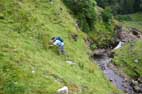 Bowlees and Flushiemere Beck