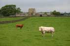 15 June Greta Bridge to Brignall Mill