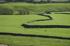 10 May Gunnerside to Oxnop Scar