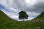 14 June Housesteads and Hadrian's Wall