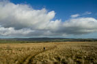 27 October Romaldkirk & Hury Reservoir