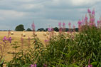 Appleton-le-Moors, Sinnington, Wrelton & Cropton