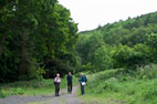 Forge Valley & Raincliffe Woods