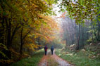 24 October Goathland to Levisham Station