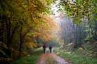 24 October Goathland to Levisham Station