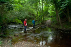 Sleights & Falling Foss