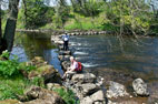 Wensley Bridge & Redmire Force