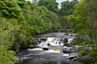 Aysgarth Falls & Gayle Ing