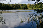 Gilling East to Cawton