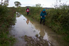 Guisborough, Upleatham & Errington Wood