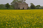 12 June Leyburn & Redmire