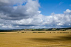 13 August Terrington & Sheriff Hutton