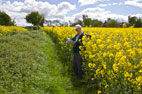 Bedale, Crakehall & Newton-le-Willows