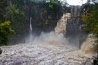 Bowlees to High Force