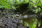 Sleights & Falling Foss