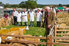 10 August The Danby Show