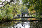 26 October Thorp Perrow Arboretum 