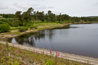 Wolsingham & Tunstall Reservoir