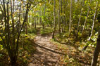 Norton and the Billingham Beck Country Park