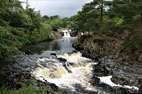 10 July 2019 Bowlees, and High Force