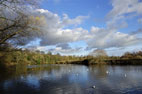 2 December  Preston Park & Bowesfield Nature Reserve