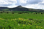 Newton under Roseberry, Pinchinthorpe & Hutton Lowcross Woods 