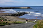 Loftus,  LOftus Woods & Skinningrove