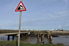 Saltholme & Greatham Creek 