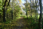 Photo 9-1
