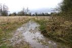 31 January 2024 Thirsk and the Cod Beck