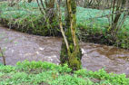 3 April 2024 Low Mill - Church Houses (Farndale)