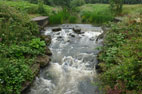 10 July 2024 Bishop Auckland