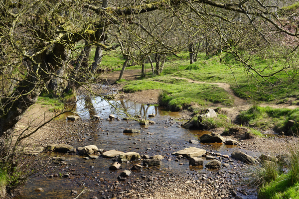 1 May 2024, - Coxwold & Husthwaite