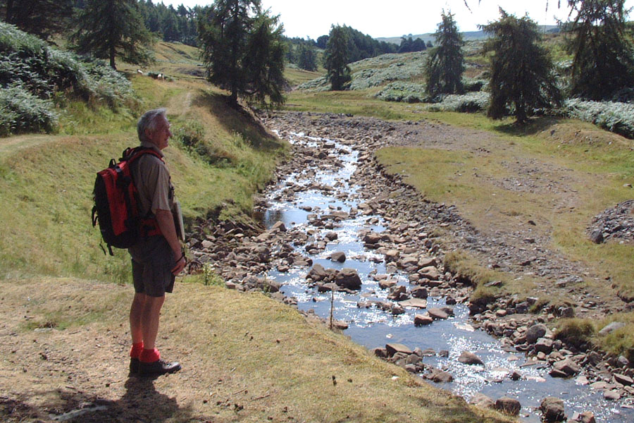 Bob by the HUdeshope Beck, above Middleton-in-Teesdale, - August 2003