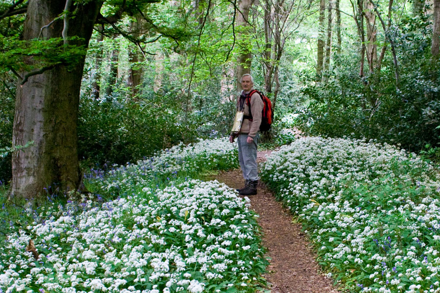 Bob and wild Garlic in Bellburn Wood, near Bishop Auckland, May 2010