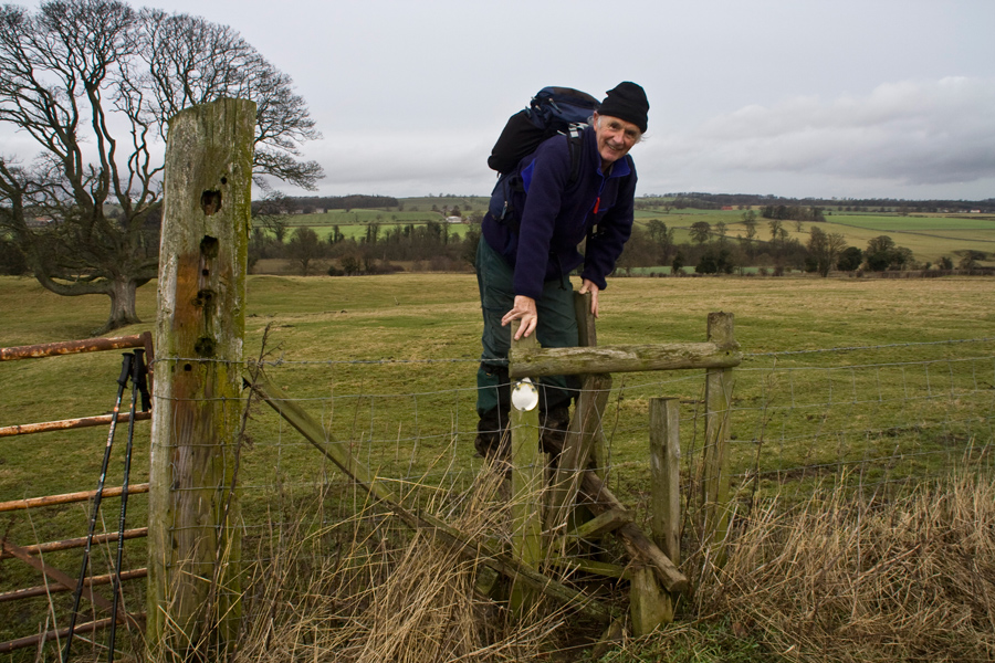 This particular stile didn't seem to deter Cliff on a walk near Wolviston.