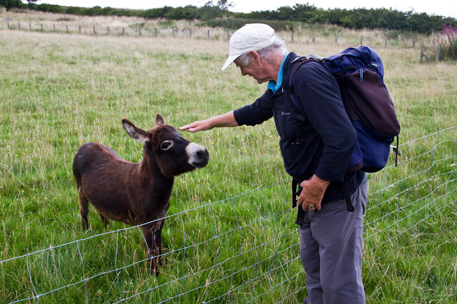 If there was a horse or a donkey in a field that the Grey Panthers passed, a friendly pat from Cliff was waiting.